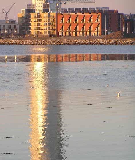 Turning Torso reflecting itself in the sea